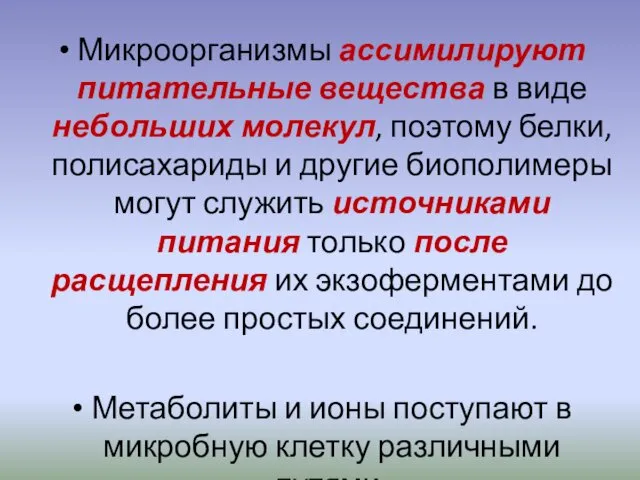 Микроорганизмы ассимилируют питательные вещества в виде небольших молекул, поэтому белки, полисахариды и другие