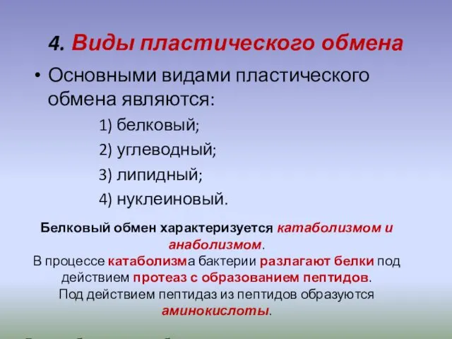 4. Виды пластического обмена Основными видами пластического обмена являются: 1) белковый; 2) углеводный;