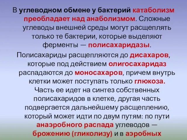 В углеводном обмене у бактерий катаболизм преобладает над анаболизмом. Сложные углеводы внешней среды