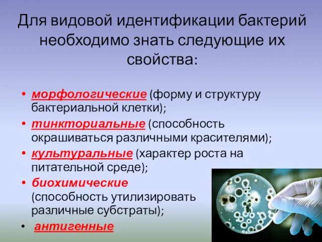 Для видовой идентификации бактерий необходимо знать следующие их свойства: морфологические (форму и структуру