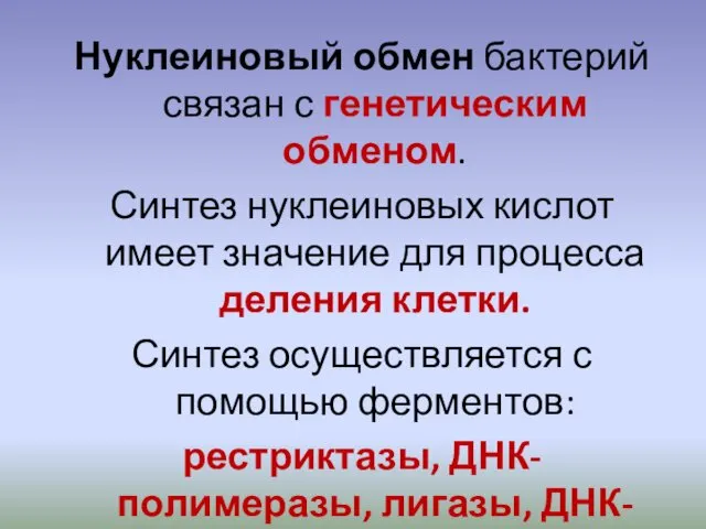 Нуклеиновый обмен бактерий связан с генетическим обменом. Синтез нуклеиновых кислот