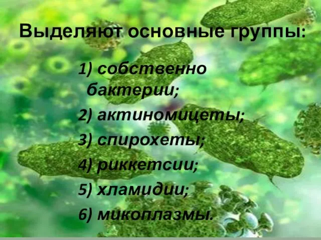 Выделяют основные группы: 1) собственно бактерии; 2) актиномицеты; 3) спирохеты; 4) риккетсии; 5) хламидии; 6) микоплазмы.