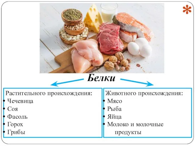 Животного происхождения: Мясо Рыба Яйца Молоко и молочные продукты Растительного