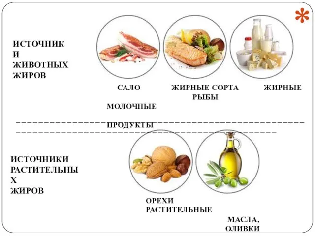 ИСТОЧНИКИ ЖИВОТНЫХ ЖИРОВ САЛО ЖИРНЫЕ СОРТА ЖИРНЫЕ РЫБЫ МОЛОЧНЫЕ ПРОДУКТЫ