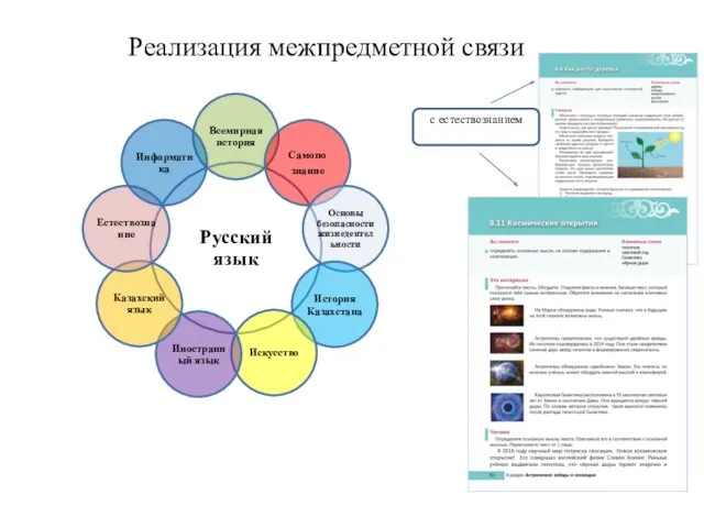 Реализация межпредметной связи с естествознанием