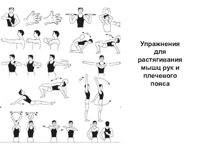 Упражнения для растягивания мышц рук и плечевого пояса