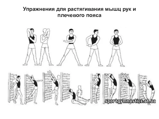 Упражнения для растягивания мышц рук и плечевого пояса