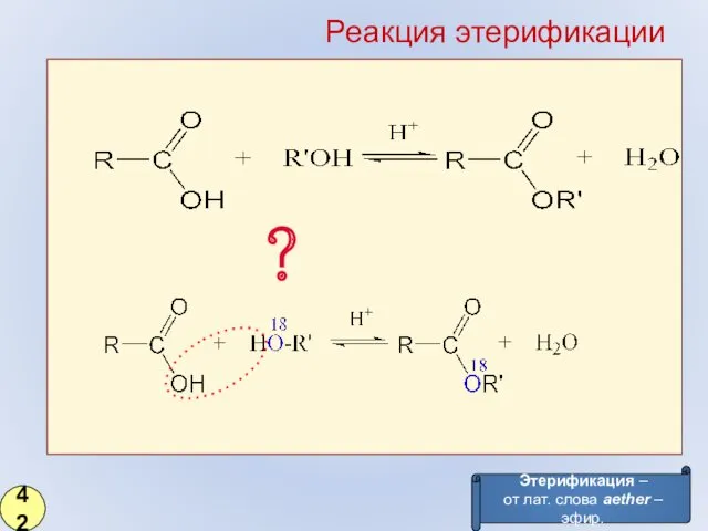 Этерификация – от лат. слова aether – эфир. ? Реакция этерификации 42