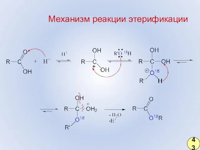 Механизм реакции этерификации 43