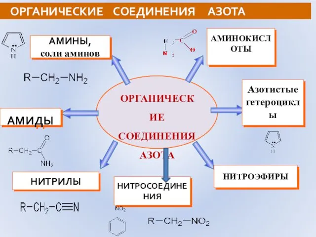 ОРГАНИЧЕСКИЕ СОЕДИНЕНИЯ АЗОТА ОРГАНИЧЕСКИЕ СОЕДИНЕНИЯ АЗОТА АМИНОКИСЛОТЫ Азотистые гетероциклы НИТРОЭФИРЫ НИТРИЛЫ АМИДЫ АМИНЫ, соли аминов НИТРОСОЕДИНЕНИЯ