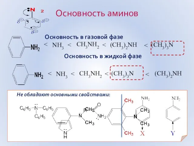 Основность в газовой фазе Основность в жидкой фазе Не обладают основными свойствами: Основность аминов