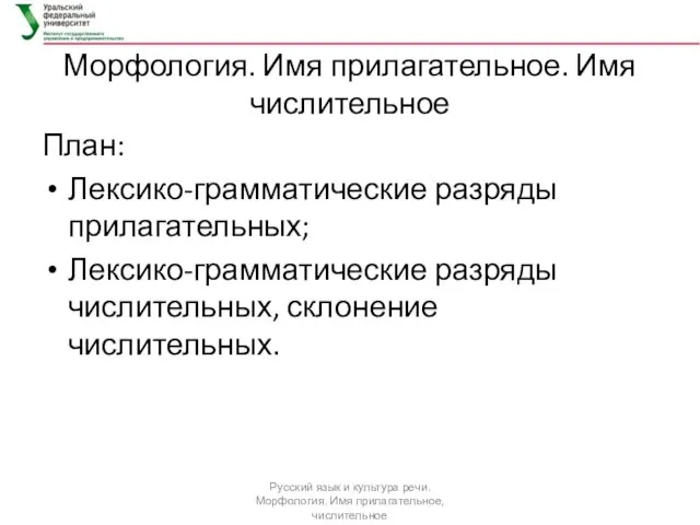 Морфология. Имя прилагательное. Имя числительное План: Лексико-грамматические разряды прилагательных; Лексико-грамматические