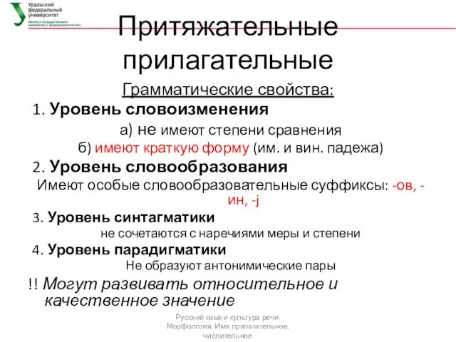 Притяжательные прилагательные Грамматические свойства: 1. Уровень словоизменения а) не имеют