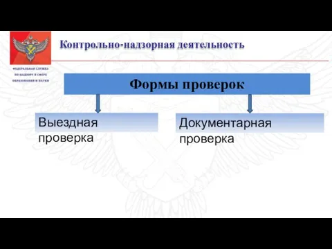 Контрольно-надзорная деятельность Формы проверок Выездная проверка Документарная проверка