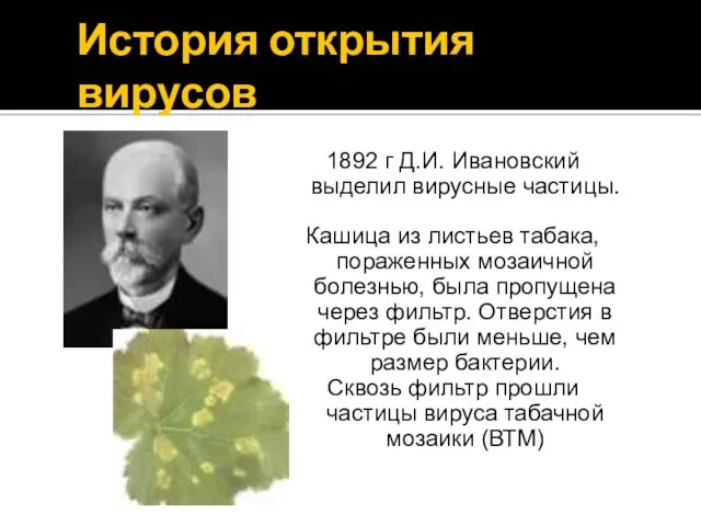 История открытия вирусов 1892 г Д.И. Ивановский выделил вирусные частицы.