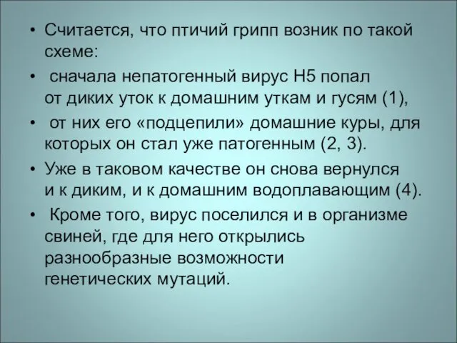 Считается, что птичий грипп возник по такой схеме: сначала непатогенный