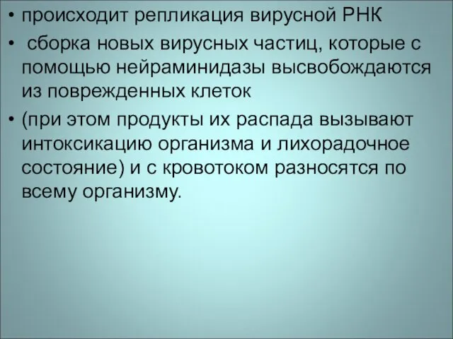 происходит репликация вирусной РНК сборка новых вирусных частиц, которые с