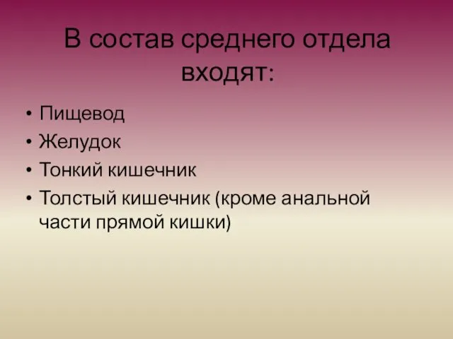 В состав среднего отдела входят: Пищевод Желудок Тонкий кишечник Толстый кишечник (кроме анальной части прямой кишки)