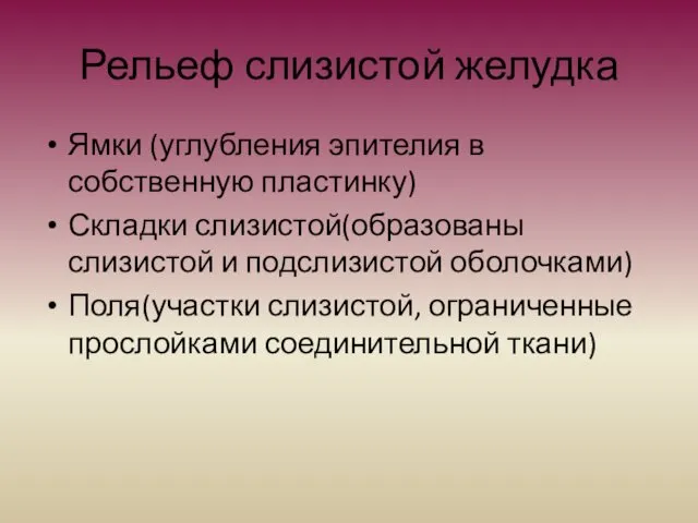 Рельеф слизистой желудка Ямки (углубления эпителия в собственную пластинку) Складки