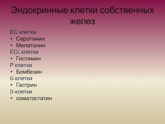 Эндокринные клетки собственных желез ЕС клетки Серотонин Мелатонин ЕСL клетки