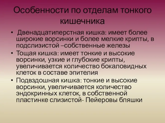 Особенности по отделам тонкого кишечника Двенадцатиперстная кишка: имеет более широкие