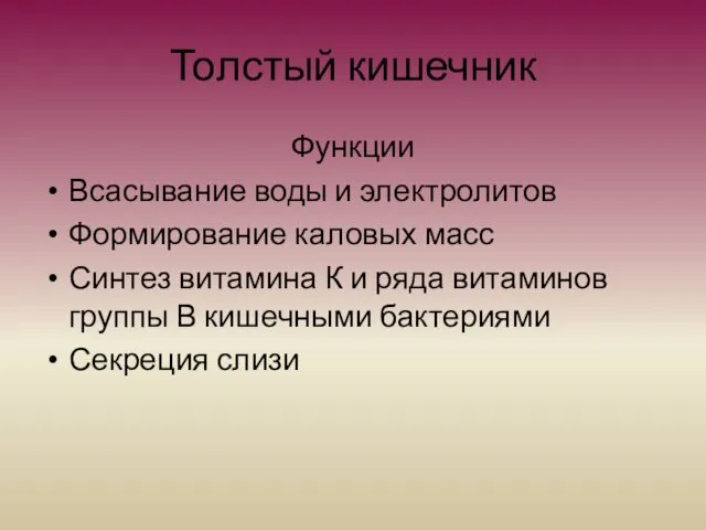 Толстый кишечник Функции Всасывание воды и электролитов Формирование каловых масс