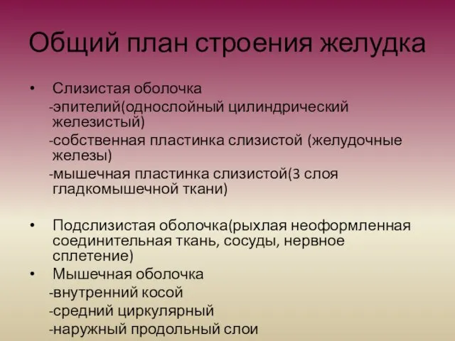 Общий план строения желудка Слизистая оболочка -эпителий(однослойный цилиндрический железистый) -собственная