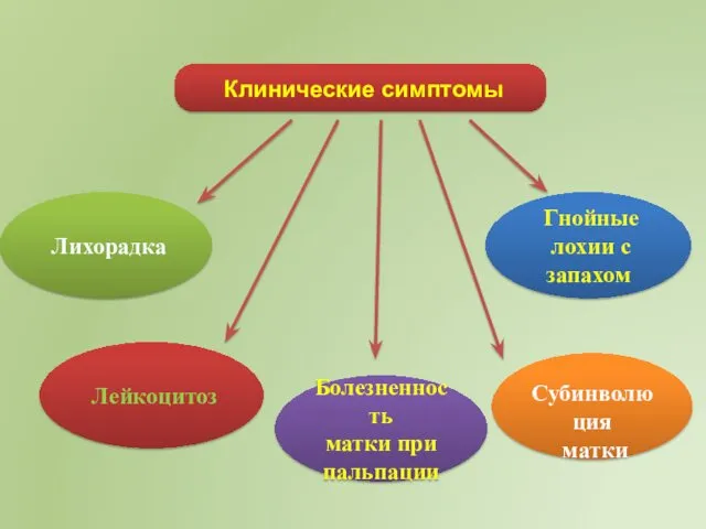 Клинические симптомы Лихорадка Лейкоцитоз Болезненность матки при пальпации Субинволюция матки Гнойные лохии с запахом