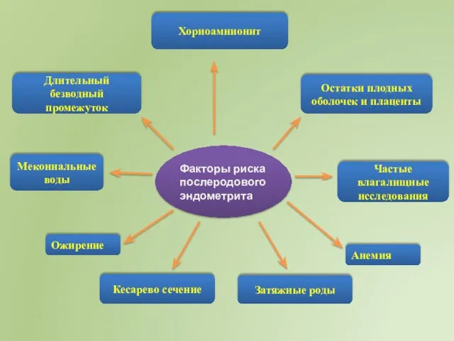 Факторы риска послеродового эндометрита Кесарево сечение Анемия Хориоамнионит Остатки плодных