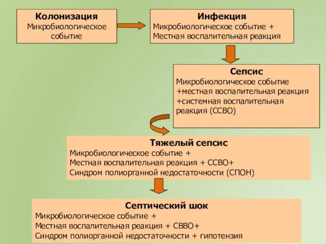 Колонизация Микробиологическое событие Инфекция Микробиологическое событие + Местная воспалительная реакция