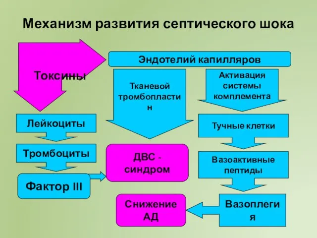 Механизм развития септического шока Токсины Эндотелий капилляров Тканевой тромбопластин Активация