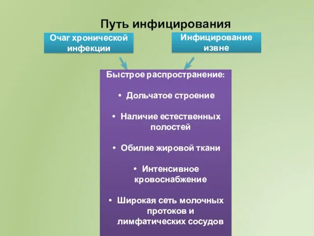 Путь инфицирования Очаг хронической инфекции Инфицирование извне Быстрое распространение: Дольчатое