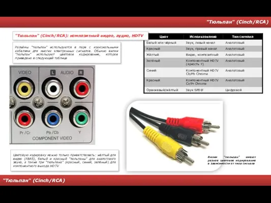 "Тюльпан" (Cinch/RCA) "Тюльпан" (Cinch/RCA) Вилки "тюльпан" имеют разное цветовое кодирование