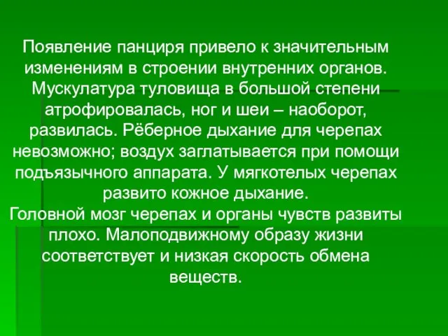 Появление панциря привело к значительным изменениям в строении внутренних органов.