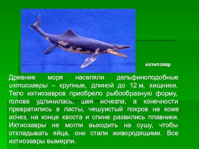 Древние моря населяли дельфиноподобные ихтиозавры – крупные, длиной до 12