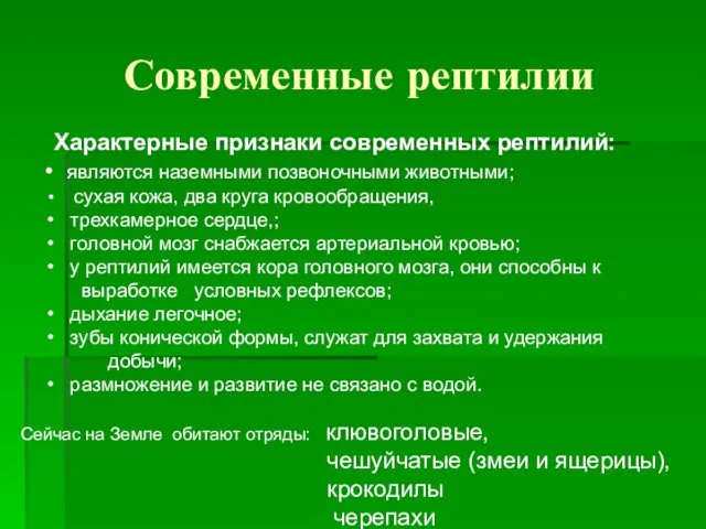 Современные рептилии Характерные признаки современных рептилий: являются наземными позвоночными животными;