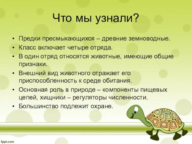 Что мы узнали? Предки пресмыкающихся – древние земноводные. Класс включает