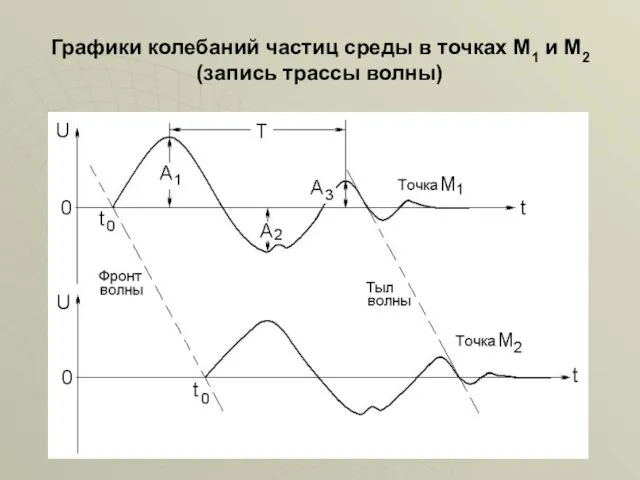 Графики колебаний частиц среды в точках М1 и М2 (запись трассы волны)