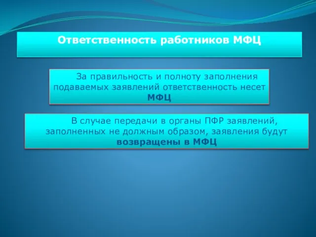 За правильность и полноту заполнения подаваемых заявлений ответственность несет МФЦ