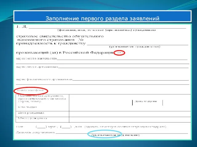 Заполнение первого раздела заявлений