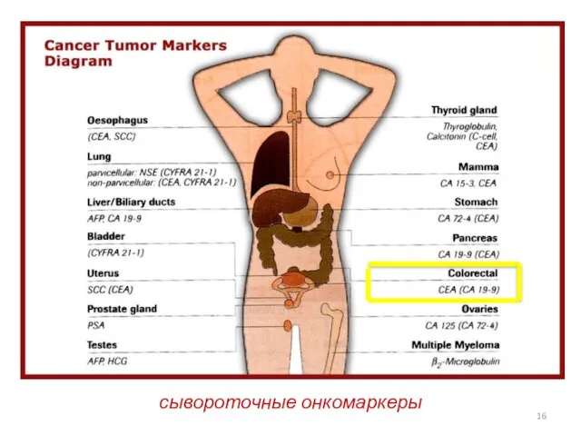 сывороточные онкомаркеры