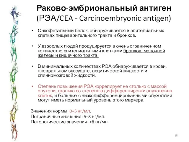 Раково-эмбриональный антиген (РЭА/CEA - Carcinoembryonic antigen) Онкофетальный белок, обнаруживается в эпителиальных клетках пищеварительного