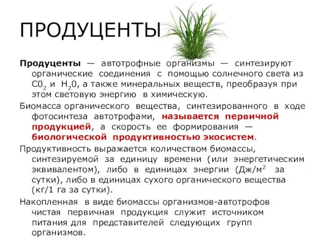 ПРОДУЦЕНТЫ Продуценты — автотрофные организмы — синтезируют органические соединения с