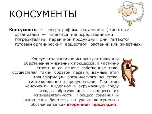 КОНСУМЕНТЫ Консументы ~ гетеротрофные организмы (животные организмы) — являются непосредственными