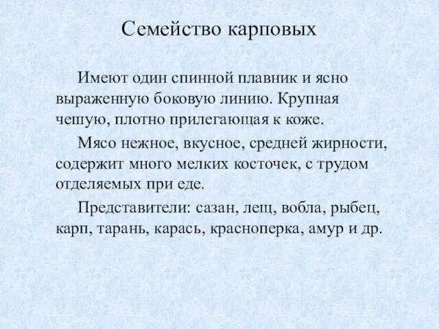 Семейство карповых Имеют один спинной плавник и ясно выраженную боковую