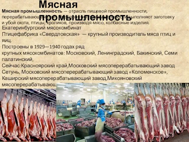 Мясная промышленность Екатеринбургский мясокомбинат Птицефабрика «Свердловская» — крупный производитель мяса