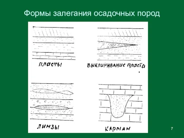 Формы залегания осадочных пород