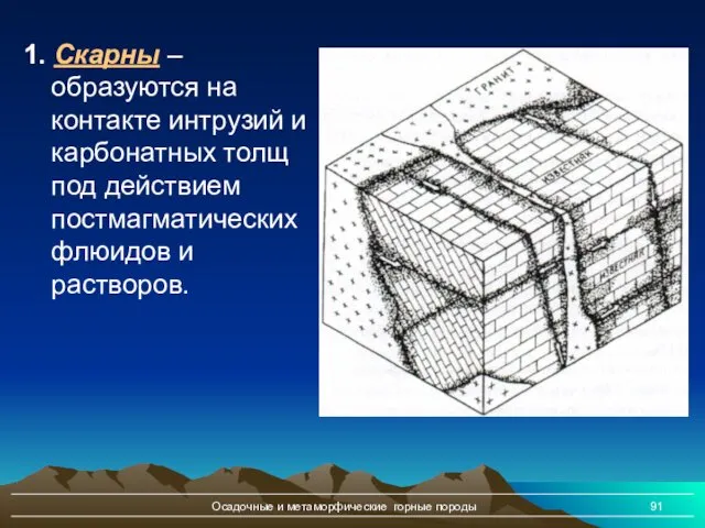 Осадочные и метаморфические горные породы 1. Скарны – образуются на