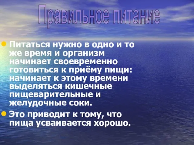 Питаться нужно в одно и то же время и организм