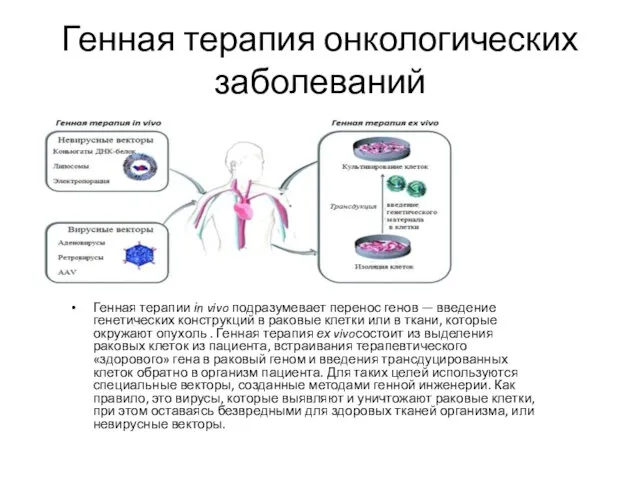 Генная терапия онкологических заболеваний Генная терапии іn vivo подразумевает перенос